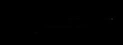 Dalstrong client logo